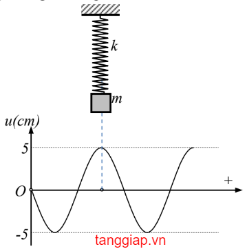 Vật không chạm vào sợi dây trong quá trình dao động.png Vật không chạm vào sợi dây trong quá trình dao động.png